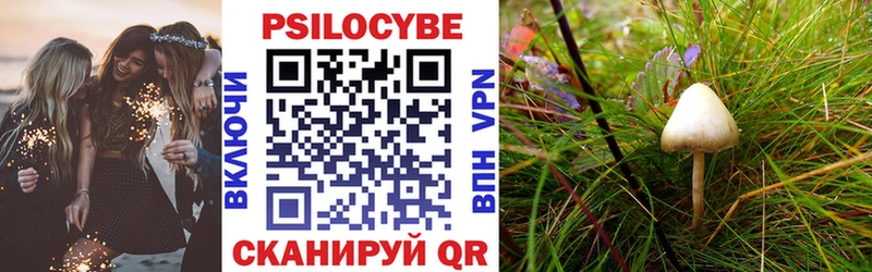 Купить закладки  Кашин  Псилоцибиновые грибы ЛСД 